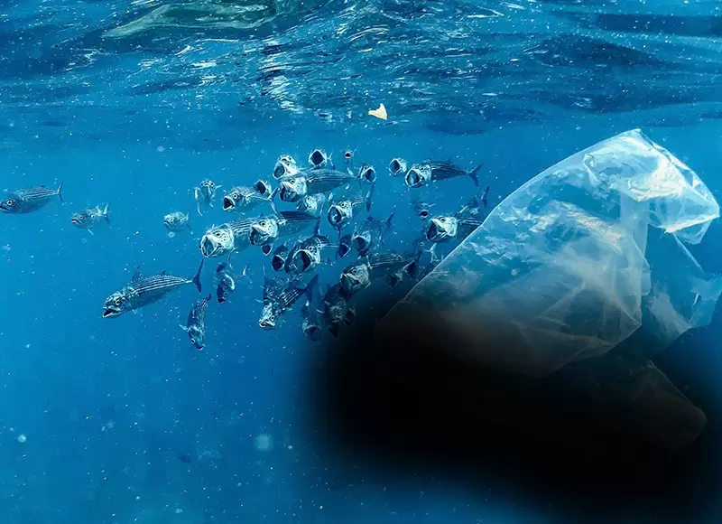 Solve the problem of white pollution